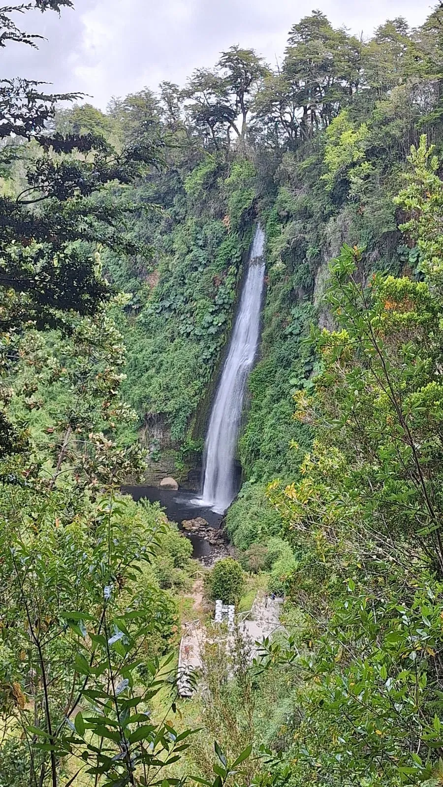 Vista general de la cascada principal entre niebla baja y bosque nativo — Cascadas de Tocoihue, Dalcahue