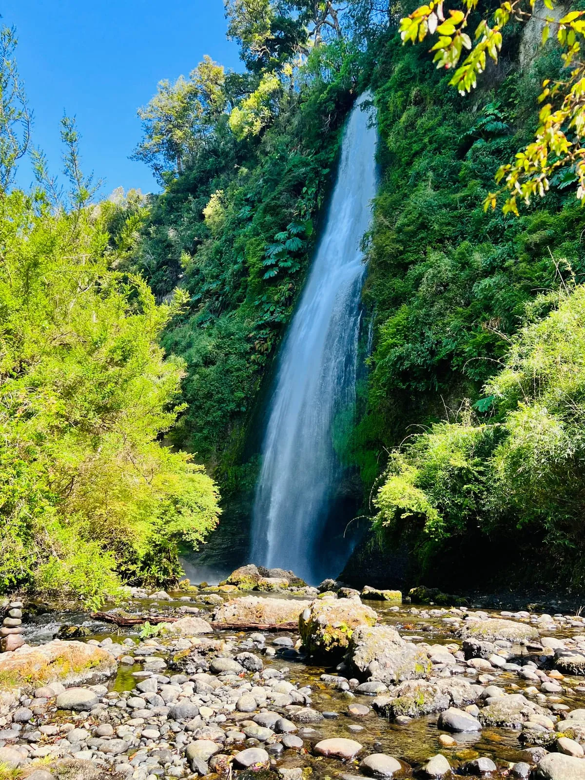 Cascada y bosque siempreverde en una sola escena — Cascadas de Tocoihue, Dalcahue