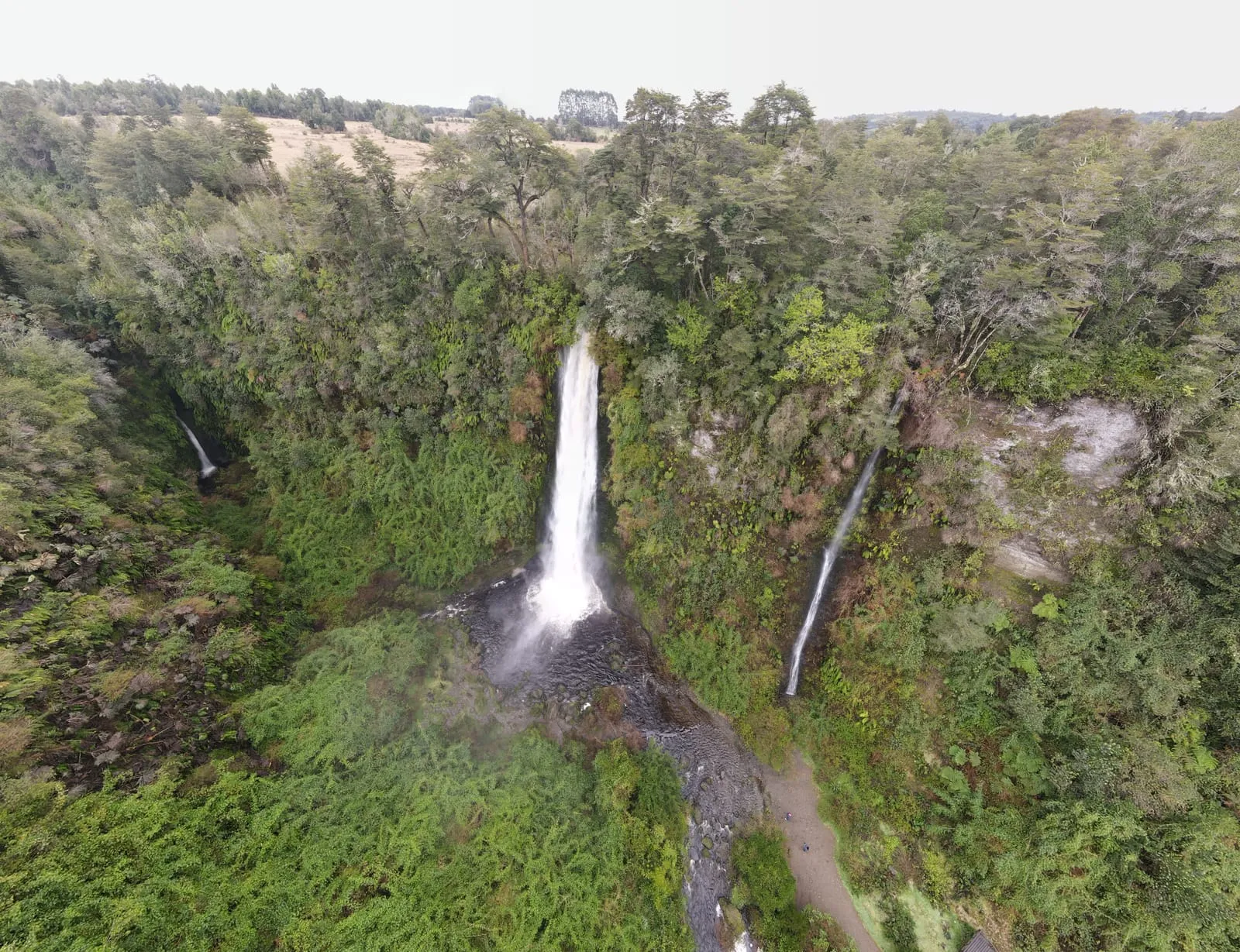 Troncos cubiertos de líquenes en aire húmedo y limpio — Cascadas de Tocoihue, Dalcahue