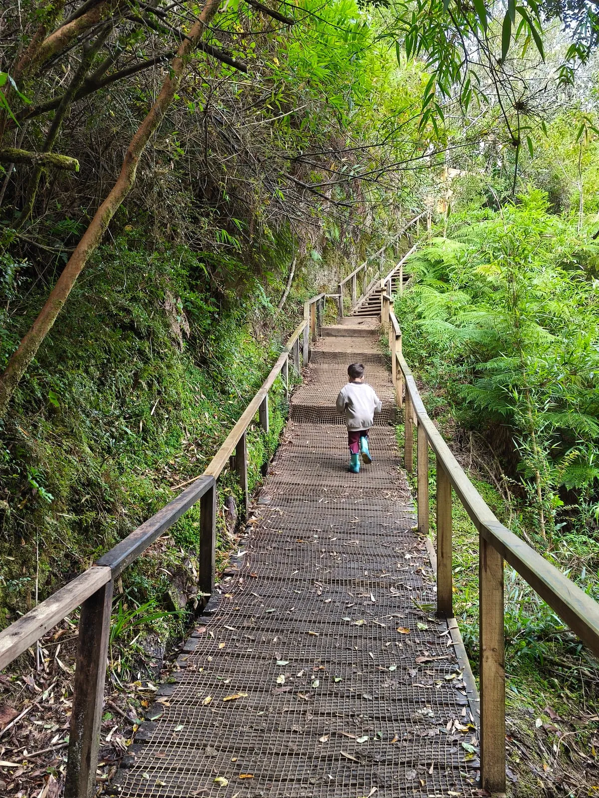 Vista lateral que revela la altura del salto — Cascadas de Tocoihue, Dalcahue