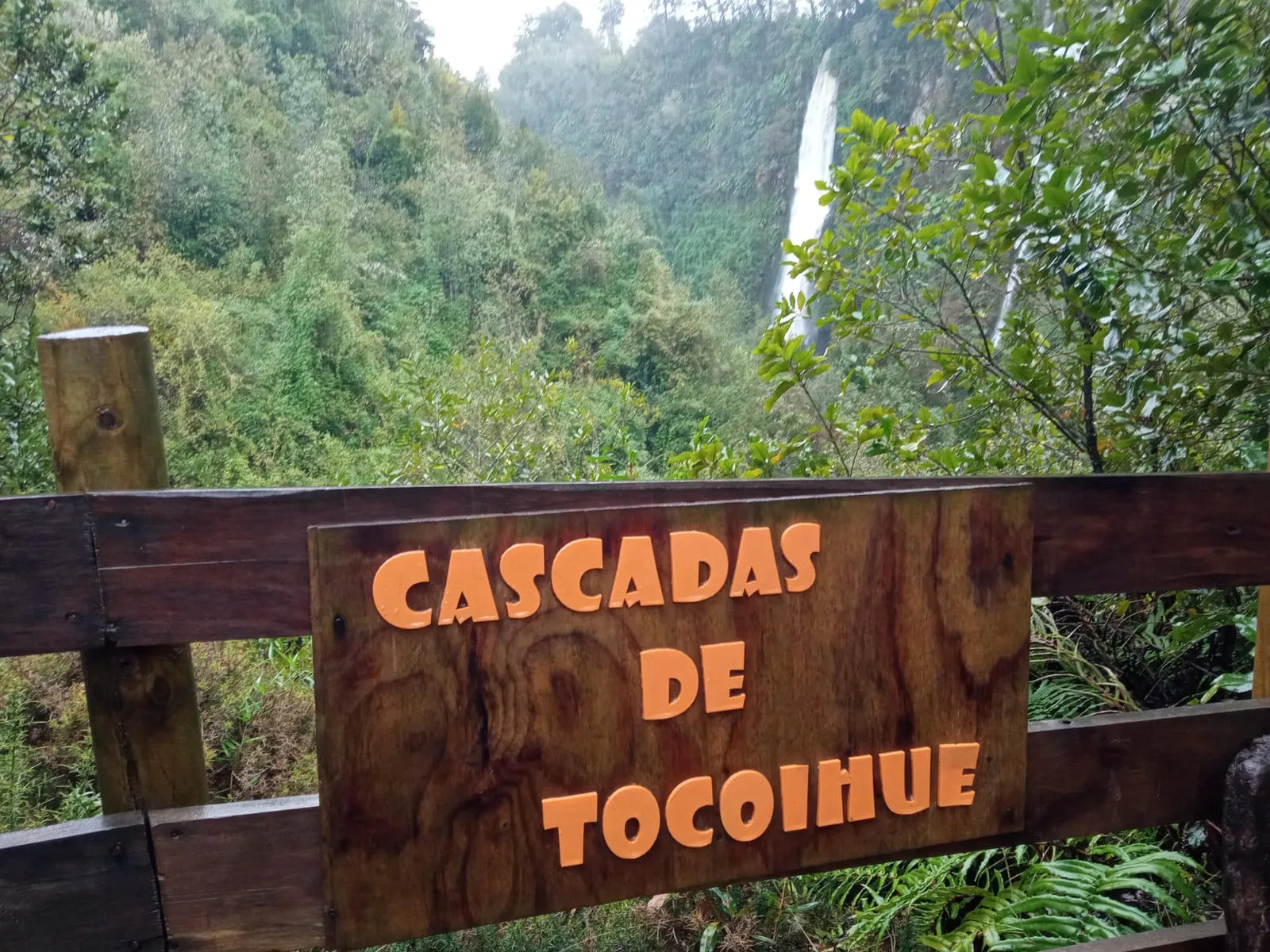 Mirada ascendente hacia copa de árboles y borde superior de la cascada — Cascadas de Tocoihue, Dalcahue