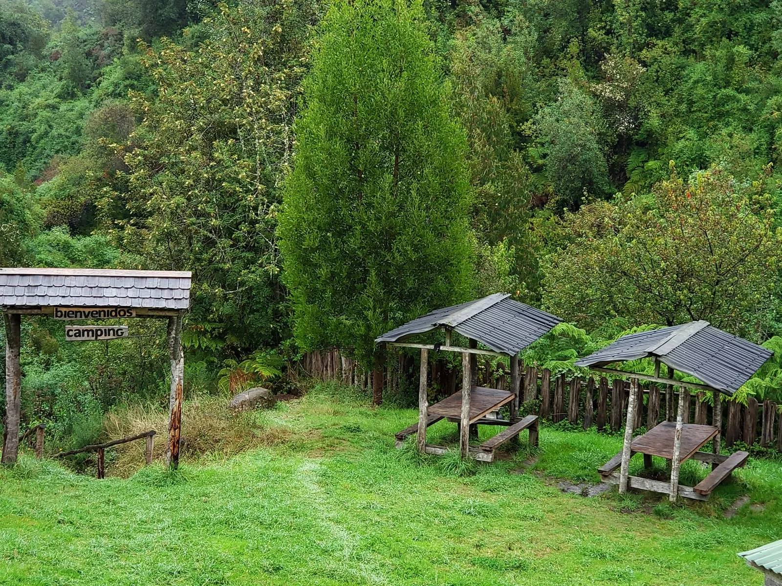 Rocas húmedas y musgos en la zona sombreada — Cascadas de Tocoihue, Dalcahue