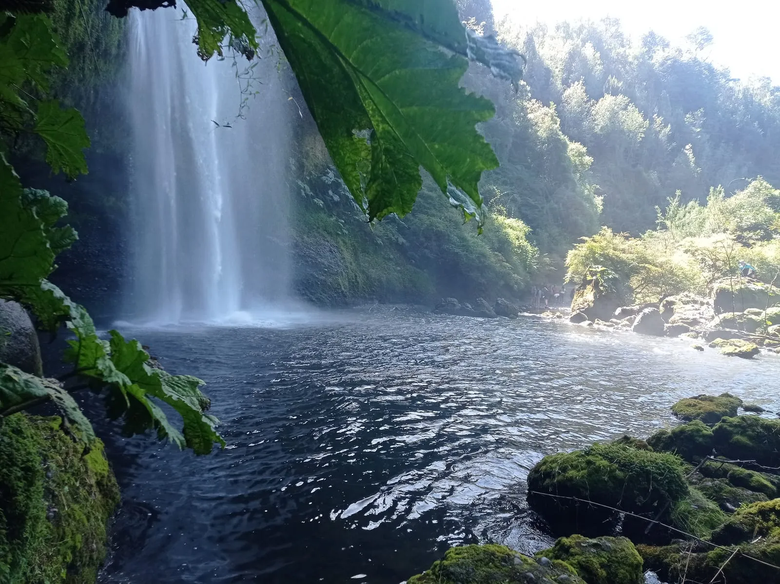 El salto asomando entre la vegetación desde un tramo del sendero — Cascadas de Tocoihue, Dalcahue