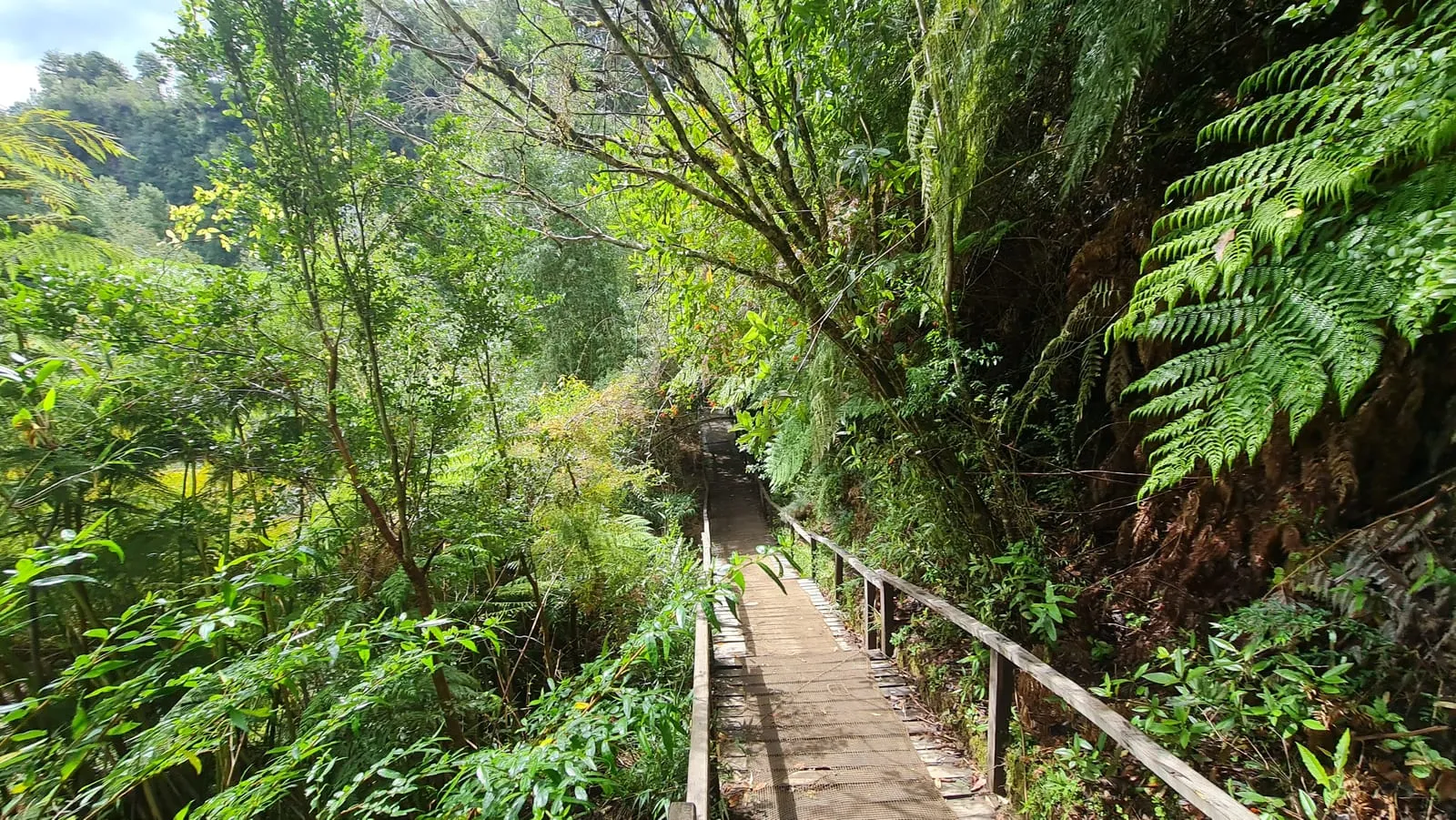 Detalle cercano de la textura del agua y la bruma fina — Cascadas de Tocoihue, Dalcahue