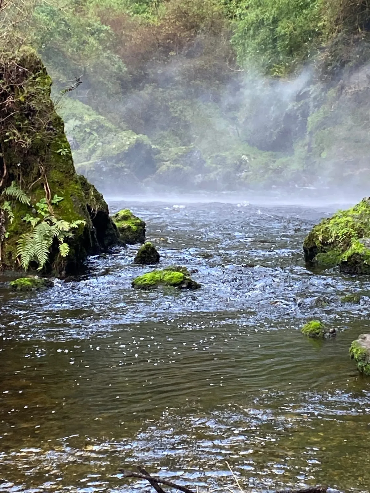 Última mirada al salto antes de salir del predio — Cascadas de Tocoihue, Dalcahue