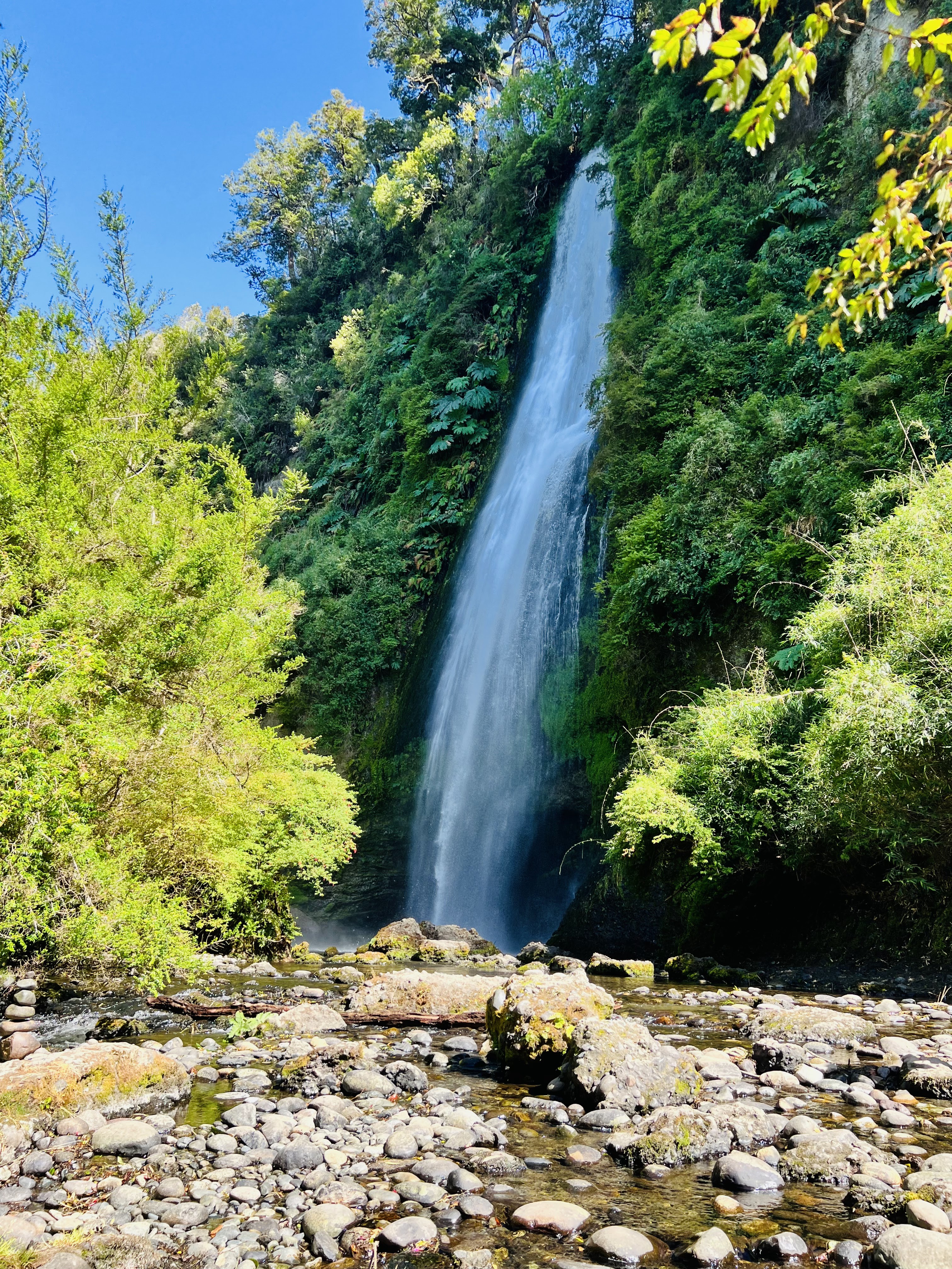 Cascada y bosque siempreverde en una sola escena